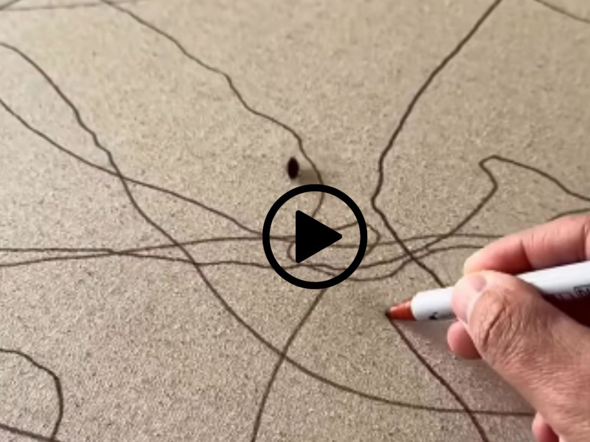 सोशल मीडियावर गाजलं झुरळाचं पेन्टिंग, याची किंमत आणि Video पाहाल तर म्हणाल, 'अरे हे असं आहे का?'