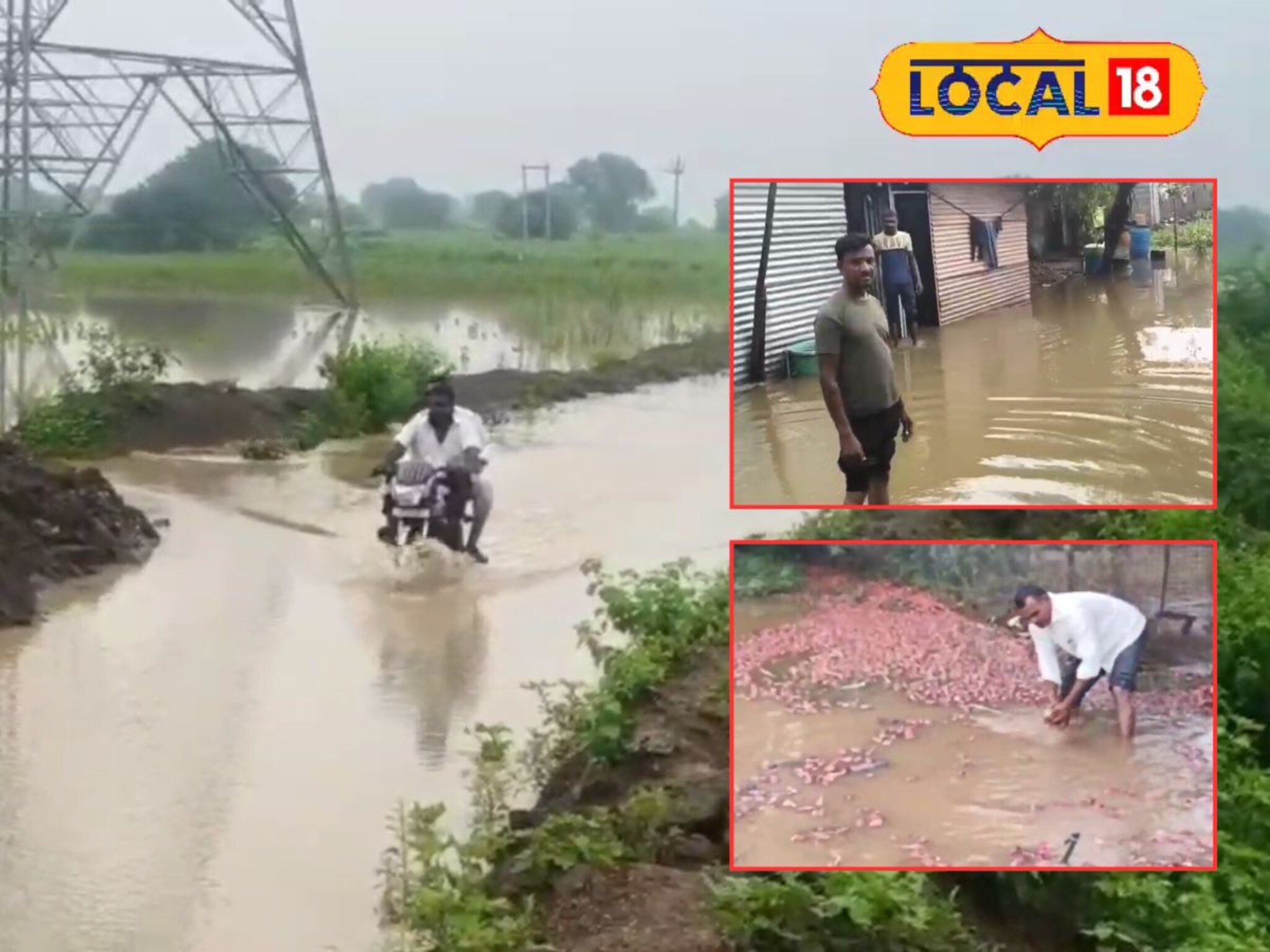 Paithan Rain: पैठणमध्ये पावसाचं थैमान, पिके गेली वाहून, घरांत शिरलं पाणी, शेतकरी संकटात, Video