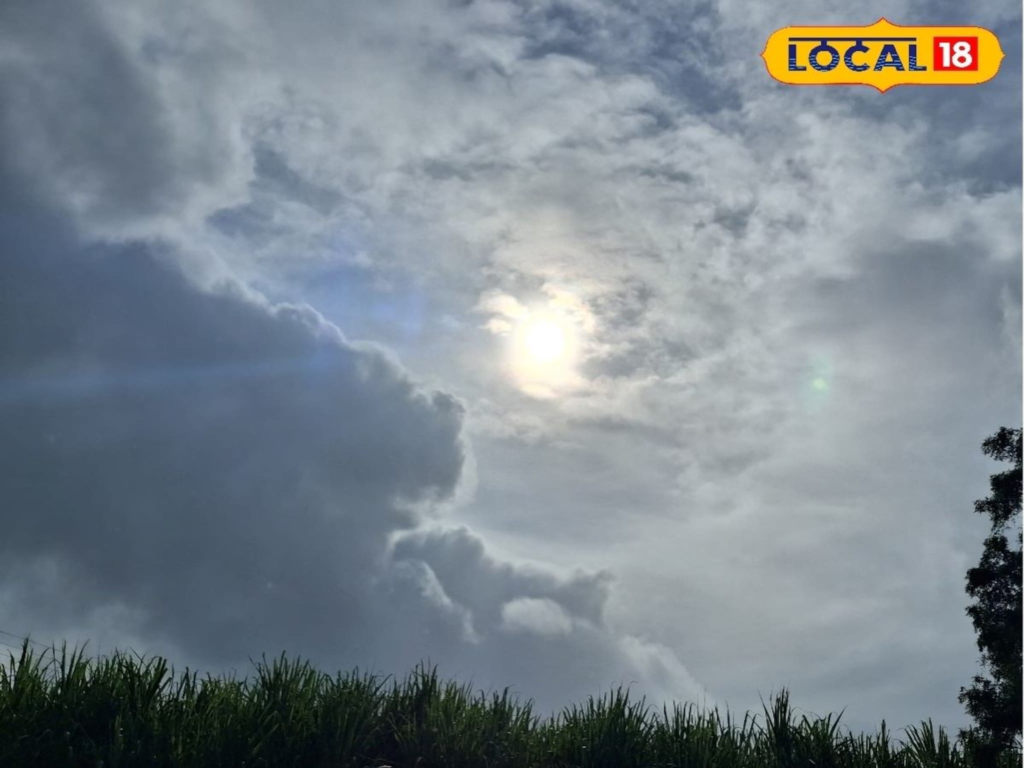 Weather Alert: महाराष्ट्रात अचानक बदलली हवा, मुंबईसह 11 जिल्ह्यांबद्दल नवी अपडेट