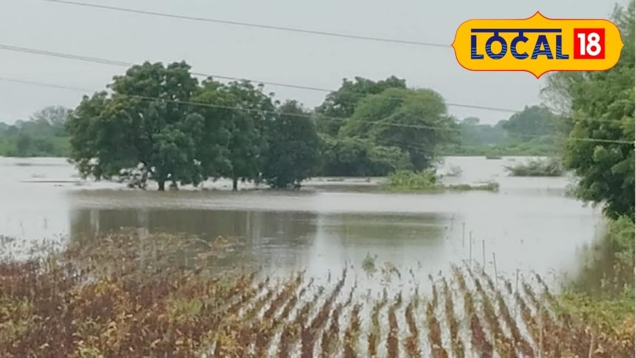 आभाळ फाटलं! परभणीत काळ बनून आला पाऊस, शेतकरी संकटात,  शेकडो हेक्टर शेती पाण्यात