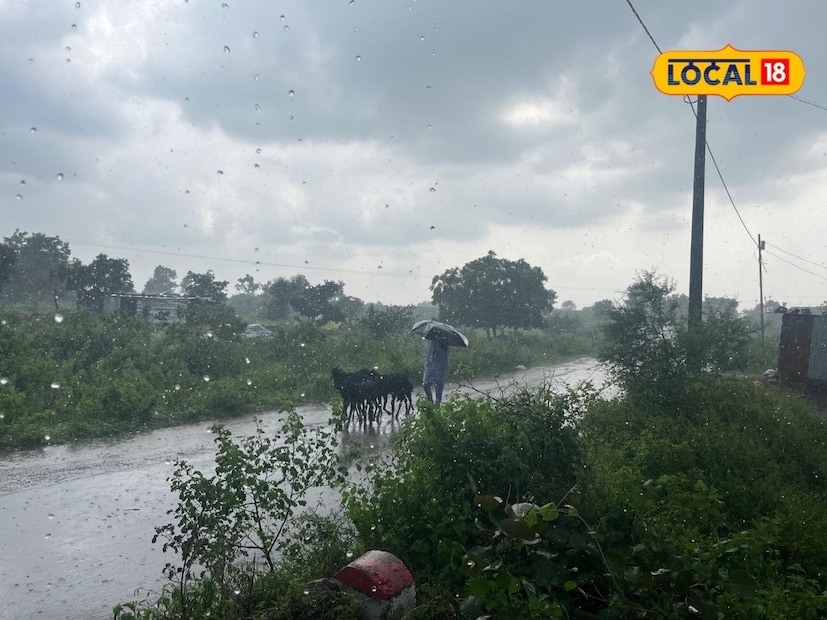 मराठवाड्यातील छत्रपती संभाजीनगर जिल्ह्यात मुसळधार ते अति मुसळधार पावसाची शक्यता आहे. त्या ठिकाणी ऑरेंज अलर्ट देण्यात आला आहे. तर जालना, परभणी, बीड, हिंगोली, नांदेड, लातूर आणि धाराशिव जिल्ह्यांत विजांच्या कडकडाटासह मध्यम ते मुसळधार पावसाचा अंदाज आहे. या सर्व जिल्ह्यांना यलो अलर्ट जारी करण्यात आला आहे.