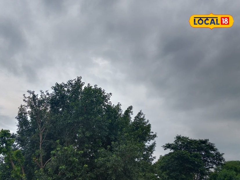 राज्यात गेल्या काही दिवसांपासून मुसळधार पावसामुळे शेतीचे मोठे नुकसान झाले आहे. त्यातच आता हवामान विभागाने 28 सप्टेंबर रोजीही मुसळधार ते अति मुसळधार पावसाचा अंदाज वर्तवला आहे. त्यामुळे कोकण, पश्चिम महाराष्ट्र, मराठवाडा, उत्तर महाराष्ट्र आणि विदर्भ या विभागांना रेड, ऑरेंज आणि यलो अलर्ट जारी करण्यात आले आहेत. पाहुयात 28 सप्टेंबर रोजी राज्यातील हवामानाची स्थिती कशी राहील.
