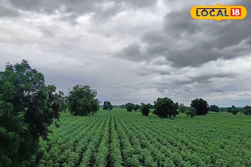 अरबी समुद्रात ‘शक्ती’, मराठवाड्यातील हवामानात मोठे बदल, IMD चं अपडेट अरबी समुद्रात ‘शक्ती’, मराठवाड्यातील हवामानात मोठे बदल, IMD चं अपडेट