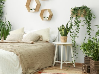 बेडरूममध्ये Indoor plants ठेवल्यास खरंच धोका असतो का? त्यामागचं वैज्ञानिक सत्य..