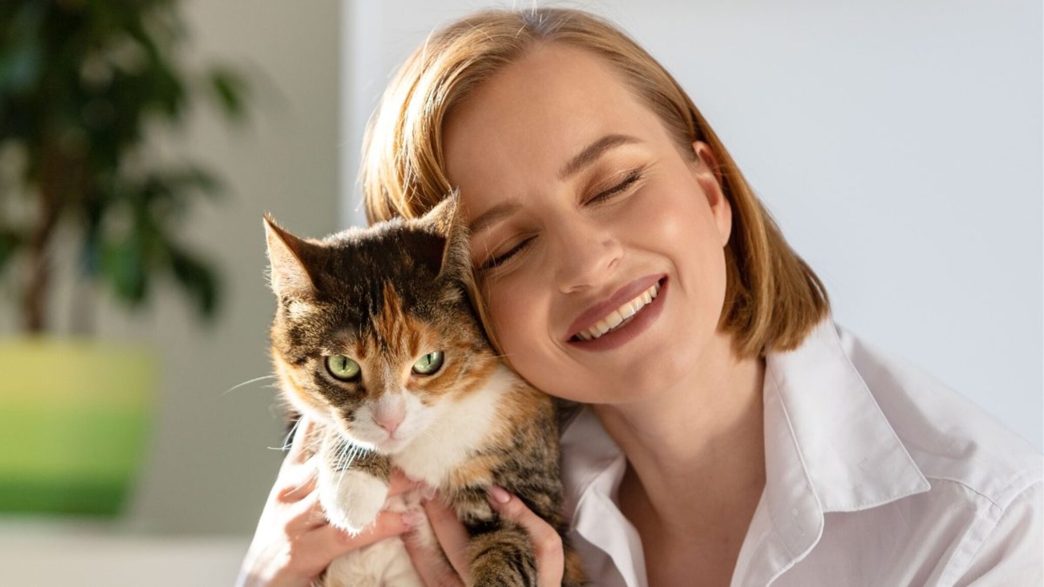 एकटेपणात उत्तम सोबती! घरात मांजर पाळण्याचे आहेत 5 मोठे फायदे, पण 'या' 4 जबाबदाऱ्याही लक्षात घ्या, अन्यथा...