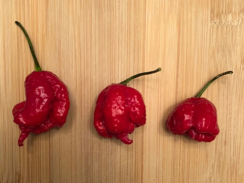  ड्रॅगन ब्रेथ (Dragon's Breath - तिखट मिरची) : ही जगातील सर्वात तिखट मिरची (hottest chili pepper) आहे. हिची २.४८ दशलक्ष स्कोविल युनिट्सची क्षमता आहे, ज्यामुळे घशात जळजळ, श्वसनक्रिया थांबणे (respiratory arrest) किंवा शॉक येऊ शकतो.