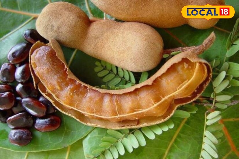 चिंचेमध्ये व्हिटॅमिन सी, पोटॅशियम, मॅग्नेशियम, कॅल्शियम आणि अँटीऑक्सिडंट्स भरपूर प्रमाणात असतात. हे सर्व मिळून रक्ताभिसरण सुधारते आणि मेंदूला ऑक्सिजनचा पुरवठा वाढवते. मायग्रेनच्या वेळी नसा कडक होतात आणि रक्त प्रवाह कमी होतो. चिंचेचा नैसर्गिक गोडवा आणि आंबटपणा, त्यात असलेल्या खनिजांसह नसांना आराम देतो आणि वेदना कमी करतो.