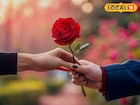 निद्रानाशाची समस्या चुटकीसरशी सोडवते गुलाबाचे फुल! संपूर्ण आरोग्यासाठी फायदेशीर