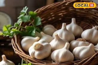 'या' टिप्सने ओळखा शुद्ध आणि प्रक्रिया केलेल्या लसणात फरक, राहाल सुरक्षित..