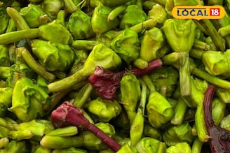 हे त्रास असलेल्यांसाठी बेस्ट आहे वॉटर चेस्टनट, आरोग्याला होतात चमत्कारिक फायदे