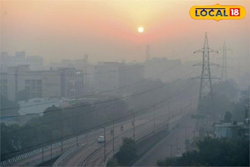 प्रदूषणाने ढासळलीये हवेची गुणवत्ता; घरात लावा ही 6 रोपं, 24 तासात हवा होईल शुद्ध प्रदूषणाने ढासळलीये हवेची गुणवत्ता; घरात लावा ही 6 रोपं, 24 तासात हवा होईल शुद्ध