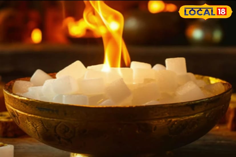 पूजेत वापरला जाणारा कापूर देखील कीटकांना दूर ठेवण्यासाठी खूप प्रभावी आहे. कापूरचा तीव्र वास कीटकांना असह्य असतो. तुम्ही कापूर पावडर, तेल किंवा कापूर जाळून कीटकांना दूर करू शकता. दुसरी प्रभावी पद्धत म्हणजे स्प्रे बाटलीत कापूर पावडर किंवा तेल टाकून घरात फवारणे.