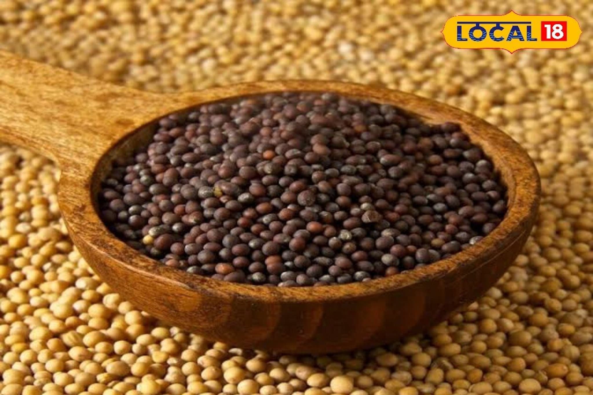 Black Vs Yellow Mustard : पिवळी आणि काळी मोहरी, दिसायला सारखीच पण फायदे-तोटे खूप भिन्न! पाहा फरक