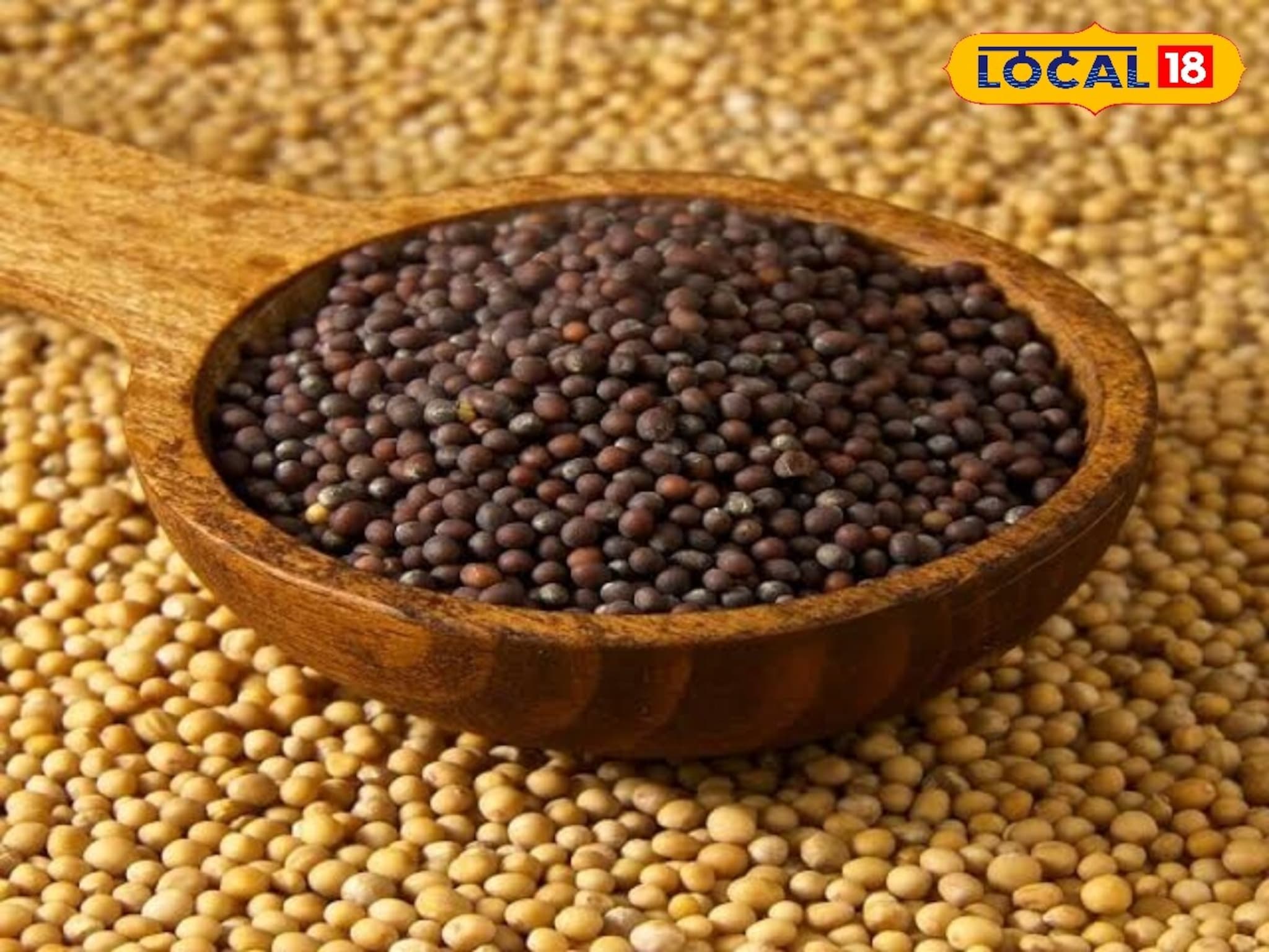 Black Vs Yellow Mustard : पिवळी आणि काळी मोहरी, दिसायला सारखीच पण फायदे-तोटे खूप भिन्न! पाहा फरक