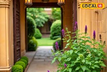 Vastu tips : हे 5 सोपे वस्तू उपाय करा, होईल भाग्योदय.. तुमच्या घरात नांदेल आनंद आणि समृद्धी!