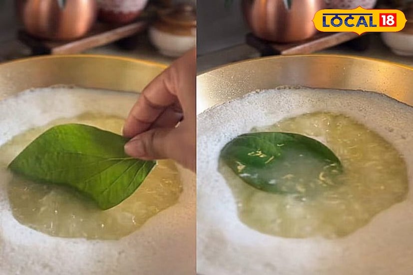 तुपामध्ये विड्याची पाने टाकल्याने त्याचा सुगंध वाढतो आणि त्यात एक सूक्ष्म चव येते, जी जेवणासोबत वापरल्यास त्याची चव वाढते. त्याचा सुगंध आणि चव वाढवण्याव्यतिरिक्त, आयुर्वेदिक औषधांमध्येही ती अत्यंत फायदेशीर मानली जाते.