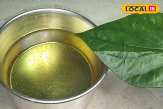 पूर्वीच्या काळात तूप बनवताना वापरत विड्याचे पान; कारण आणि फायदे वाचून थक्क व्हाल