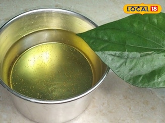 पूर्वीच्या काळात तूप बनवताना वापरत विड्याचे पान; कारण आणि फायदे वाचून थक्क व्हाल