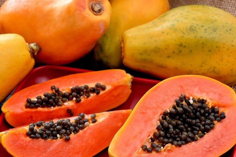 पिकलेली पपई खायची असल्यास डॉक्टरांचा सल्ला घेणं आवश्यक आहे. काही वेळा पिकलेली पपईही संवेदनशील शरीरावर परिणाम करू शकते.