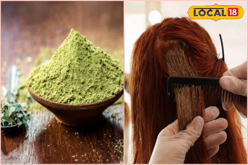 आणखी गडद रंग आणि मजबूत केसांसाठी तुम्ही या मिश्रणात आवळा पावडर, भृंगराज किंवा कॉफी पावडर घालू शकता. हे पावडर केसांना मुळांपासून पोषण देतात आणि केस गळती रोखतात.