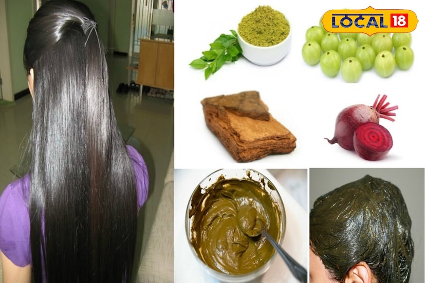 हा घरगुती काळा रंग पांढऱ्या केसांना नैसर्गिकरित्या काळे करतोच, शिवाय केसांचे आरोग्य देखील सुधारतो. नियमित वापरामुळे केस मऊ, दाट आणि चमकदार होतात आणि कोणतेही दुष्परिणाम होत नाहीत.