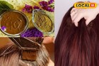 घरच्या घरी सहज केस होतील काळे, दाट आणि रेशमी! ट्राय करा 'हा' DIY हेअर कलर