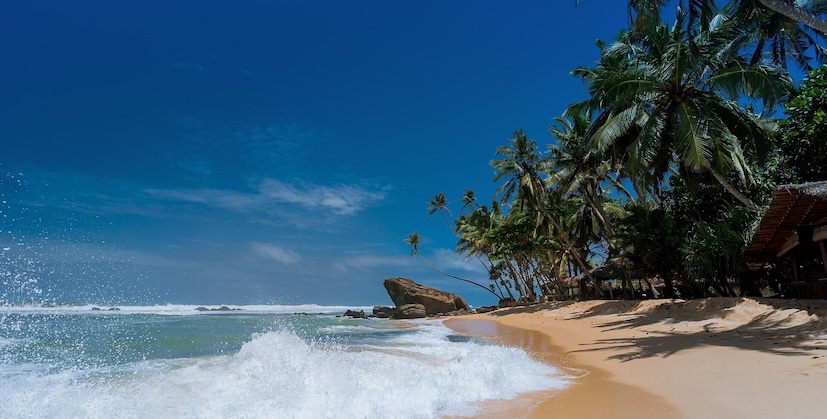 पुद्दुचेरीचे पुद्दुचेरी, कराईकल आणि यानम हे जिल्हे बंगालच्या उपसागराच्या काठावर आहेत, जे तमिळनाडू आणि आंध्र प्रदेशने वेढलेले आहेत. एकेकाळी फ्रेंच वसाहत असलेले, हे विचित्र विभाग त्याच्या वसाहती भूतकाळाचे प्रतिबिंबित करते. हे भाग त्यांच्या सुवर्ण किनारे, फ्रेंच काळातील वास्तुकला आणि चैतन्यशील समुद्रकिनारी संस्कृतीसाठी प्रसिद्ध आहेत.