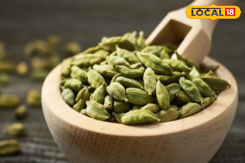 योगगुरू पुढे म्हणाले की, वेलचीचे अँटीबॅक्टेरियल गुणधर्म तोंडाची दुर्गंधी निर्माण करणारे बॅक्टेरिया नष्ट करतात. म्हणूनच प्राचीन काळी राजे आणि सम्राट देखील जेवणानंतर वेलची खात असत. दररोज ते खाल्ल्याने श्वास ताजा राहण्यास, तोंडाला फ्रेश होण्यास आणि तोंडाची दुर्गंधी दूर होण्यास मदत होते.