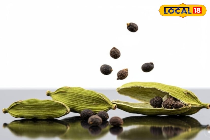 जेवल्यानंतर जडपणा किंवा गॅस जाणवत असेल तर वेलची उपयुक्त आहे. योगगुरू हंसाजी स्पष्ट करतात की, हा मसाला पाचक एंजाइम सक्रिय करतो, अन्न जलद पचण्यास मदत करतो, पोट हलके करतो आणि फुगणे किंवा आम्लता कमी करतो. म्हणून जेवणानंतर 1-2 वेलची चावणे हा एक सोपा घरगुती उपाय आहे.