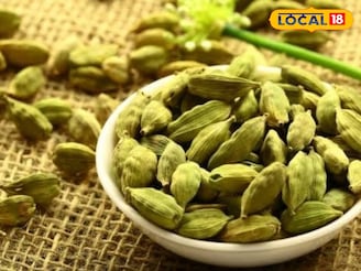 रोज एक वेलची खा, तोंडाच्या दुर्गंधीसह हृदयाच्या 'या' गंभीर त्रासावरही फायदेशीर..