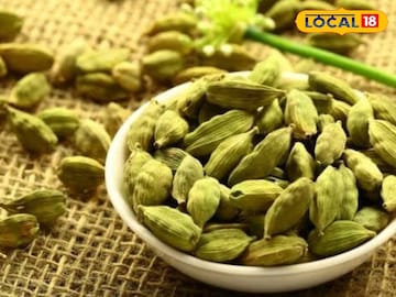 रोज एक वेलची खा, तोंडाच्या दुर्गंधीसह हृदयाच्या 'या' गंभीर त्रासावरही फायदेशीर.. रोज एक वेलची खा, तोंडाच्या दुर्गंधीसह हृदयाच्या 'या' गंभीर त्रासावरही फायदेशीर..