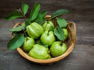 Guava : सुपरफ्रुट आहे पेरू पण 4 लोकांसाठी ठरू शकतो डेंजर; चुकूनही खाऊ नका Guava : सुपरफ्रुट आहे पेरू पण 4 लोकांसाठी ठरू शकतो डेंजर; चुकूनही खाऊ नका