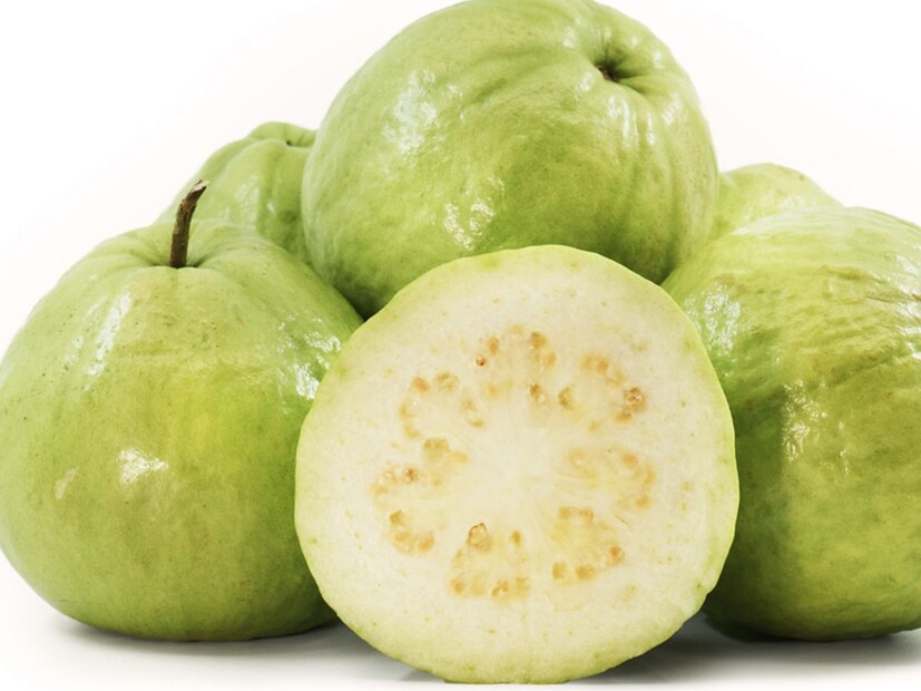 डायबेटिज रुग्ण : पेरूचा ग्लायसेमिक इंडेक्स (GI) कमी असतो, जो रक्तातील साखरेच्या पातळीत वाढ दर्शवतो. ते रक्तप्रवाहात हळूहळू साखर सोडतं. म्हणूनच मधुमेहाचे रुग्ण ते खाऊ शकतात. पण जर इन्सुलिन घेणाऱ्यांनी पेरू जास्त  खाल्ले तर त्यांच्या रक्तातील साखरेची पातळी वाढेल आणि आजाराची तीव्रता वाढेल. म्हणून दररोज 1-2 पेक्षा जास्त पेरू खाऊ नका. ग्लुकोजचं शोषण कमी करण्यासाठी ते प्रथिने आणि इतर चरबीयुक्त पदार्थांसह खाऊ नयेत.