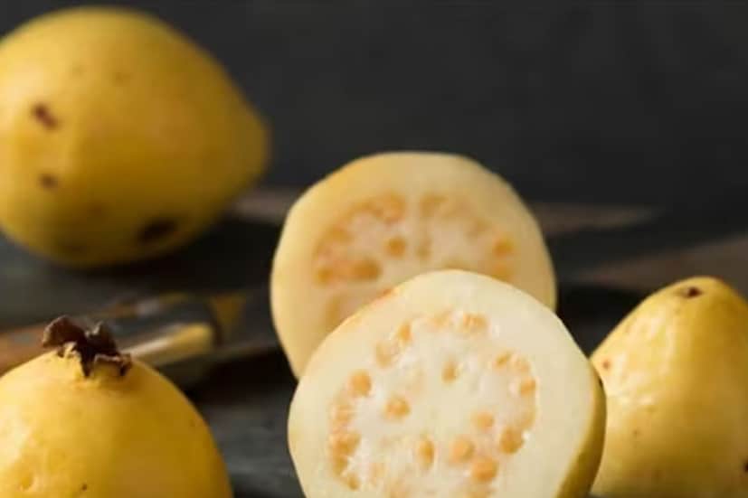 इरिटेबल बाऊल सिंड्रोम (IBS) : पेरूमध्ये विरघळणारे आणि अघुलनशील फायबर भरपूर प्रमाणात असते. ते पचन करण्यास मदत करते आणि बद्धकोष्ठता कमी करतं. पण IBS किंवा अशा इतर समस्या असलेल्या लोकांनी पेरू खाल्ल्यास पचनास त्रास होऊ शकतो. जसं आतड्यांची क्रिया वाढते, पोटात पेटके, अतिसार किंवा बद्धकोष्ठता, पोटफुगी आणि गॅस होतो. अशा लोकांनी पेरू कमी प्रमाणात खावा. ते थेट खाण्याऐवजी स्मूदी बनवल्याने पोटातील जळजळीचा त्रास कमी होईल.