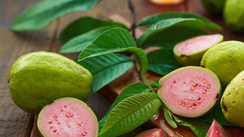 संवेदनशील त्वचा : पेरू आणि त्याच्या पानांमध्ये काही प्रकारचे जैविक क्रियेचे संयुगे असतात. ते संवेदनशील त्वचेला त्रास देऊ शकतात. हे जास्त प्रमाणात खाल्ल्याने एक्झिमा आणि इतर त्वचेच्या समस्या वाढू शकतात. यामुळे त्वचेवर लालसरपणा, खाज सुटणं आणि जळजळ होऊ शकते.