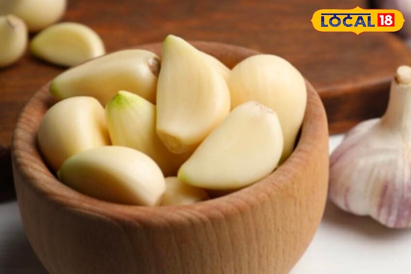 हिवाळ्यात लोकांना सहसा तळलेले आणि मसालेदार पदार्थ जास्त खायला आवडतात. यामुळे चरबीचे प्रमाण वाढू शकते. लसूण कोलेस्टेरॉल आणि रक्तदाब या दोन्हीवर नियंत्रण ठेवण्यास मदत करते. रक्तवाहिन्यांमध्ये जमा झालेली घाण साफ करून हृदयविकाराचा झटका आणि स्ट्रोकचा धोका कमी करण्यासाठी लसूण खूप उपयुक्त आहे.