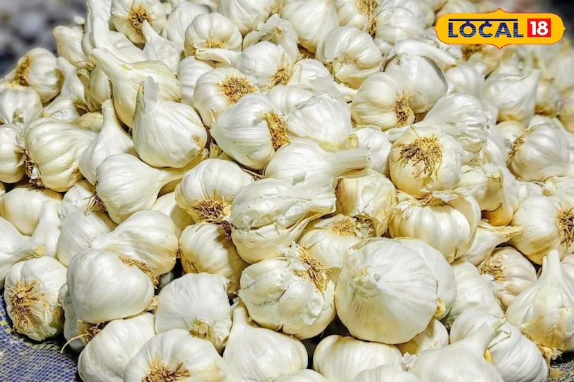 Disclaimer : या बातमीत दिलेली माहिती आणि आरोग्याशी संबंधित सल्ला तज्ञांशी झालेल्या संभाषणांवर आधारित आहे. ही सामान्य माहिती आहे, वैयक्तिक सल्ला नाही. म्हणून, डॉक्टरांचा सल्ला घेतल्यानंतरच काहीही वापरा. त्याच्या वापरामुळे होणाऱ्या कोणत्याही नुकसानासाठी लोकल-18 जबाबदार राहणार नाही. 