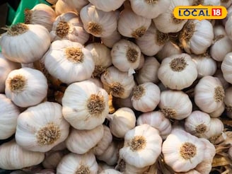 एकदा ट्राय करून पाहाच! 'ही' एक वस्तू पळवून लावेल अपचन-गॅस आणि संधेदुखीसारखे आजार