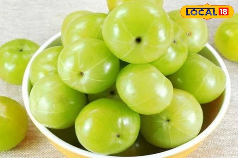 हिवाळा ऋतू आपल्यासोबत अनेक आजार घेऊन येतो. या काळात खोकला, सर्दी, कोरडी त्वचा आणि अशक्तपणा यासारख्या समस्या सामान्य असतात. या सर्व समस्यांपासून शरीराचे रक्षण करण्यात आवळा किंवा भारतीय गुसबेरी महत्त्वाची भूमिका बजावते. आयुर्वेदात त्याला अमृतफळ म्हणतात.