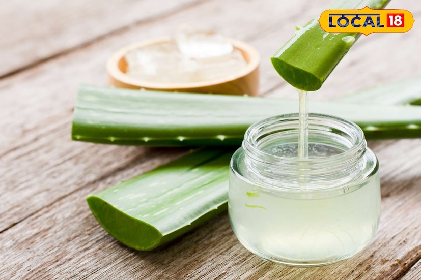 सर्वप्रथम एका स्वच्छ भांड्यात कोरफडीचे जेल घ्या. आता त्यात खोबरेल तेल आणि एरंडेल तेल घाला. हे मिश्रण पूर्णपणे गुळगुळीत आणि मलईदार होईपर्यंत चांगले मिसळा. इच्छा असल्यास तुम्ही ते थोडेसे गरम करू शकता जेणेकरून तेल कोरफडीत चांगले मिसळेल. तुमचे केसांचे जेल तयार आहे. ते हवाबंद डब्यात ठेवा जेणेकरून तुम्ही ते 7-10 दिवस आरामात वापरू शकाल.