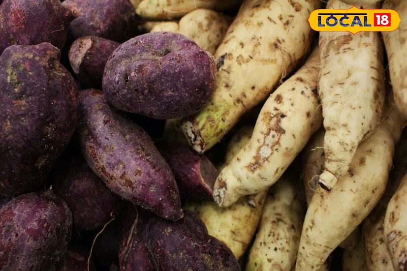 तुम्हाला बद्धकोष्ठतेचा त्रास होत असेल किंवा आतडे रिकामे होण्यास त्रास होत असेल तर रताळे खाणे हा एक नैसर्गिक उपाय ठरू शकतो. ते आतडे स्वच्छ करते आणि पचन सुधारते. यामुळे पोटाशी संबंधित अनेक समस्या कमी होतात.