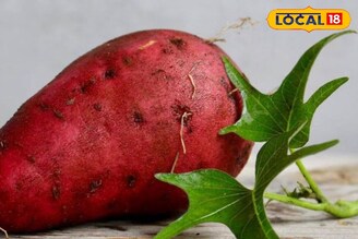 हिवाळ्यातील सुस्तीवर बेस्ट, एनर्जीचे पॉवरहाऊस आहेत रताळे! 'हे' आजार ठेवतात दूर