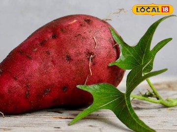 हिवाळ्यातील सुस्तीवर बेस्ट, एनर्जीचे पॉवरहाऊस आहेत रताळे! 'हे' आजार ठेवतात दूर हिवाळ्यातील सुस्तीवर बेस्ट, एनर्जीचे पॉवरहाऊस आहेत रताळे! 'हे' आजार ठेवतात दूर