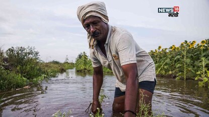 Maharashtra Flood Maharashtra Flood