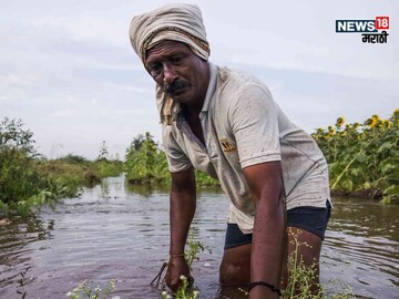 Maharashtra Flood 