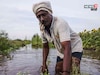 पूरग्रस्तांसाठी महसूल,वन विभागाचा मोठा निर्णय! या वस्तूंचे  वाटप केले जाणार