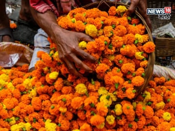 Agriculture News 