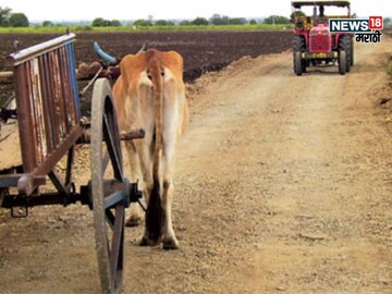 agriculture news
