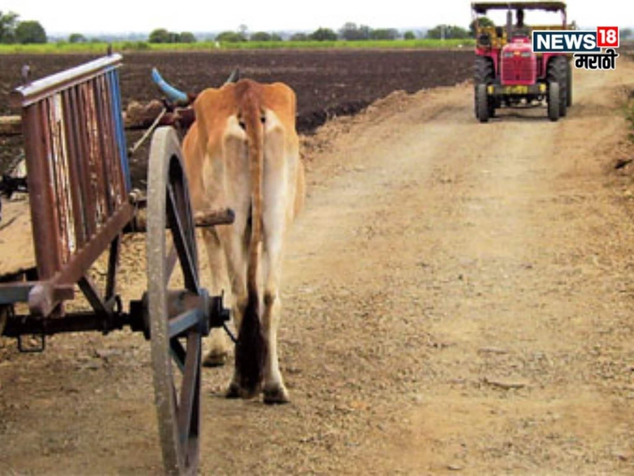 राज्यातील शेत,पाणंद रस्त्यांबाबत राज्य सरकारचा मोठा निर्णय! हा कडक नियम लागू होणार