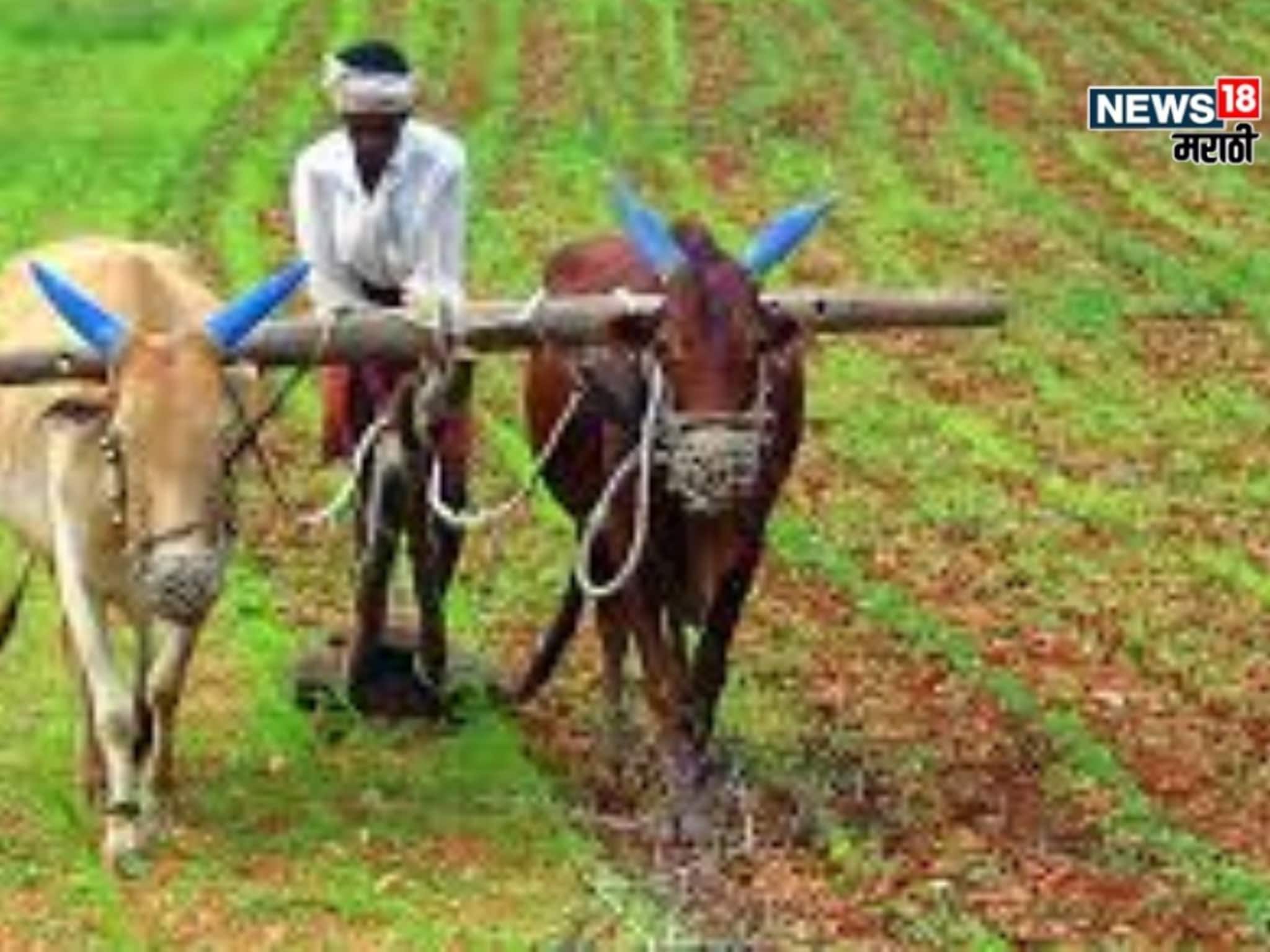 महसूल विभागाच्या ई-बॉण्ड निर्णयाचा शेतकऱ्यांना कोणता फायदा मिळणार?